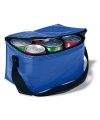 Mini cooler bag for 6 cans