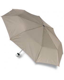 Foldable umbrella in cover